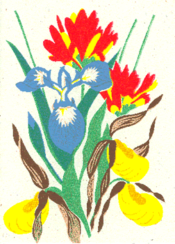 Indian Paintbrush, Wild Iris and Yellow Lady's Slipper